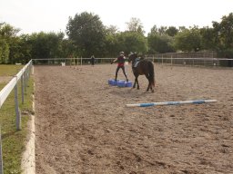 img_7436_web